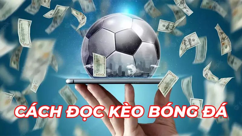Cách đọc kèo bóng đá chuẩn xác cho người mới bắt đầu